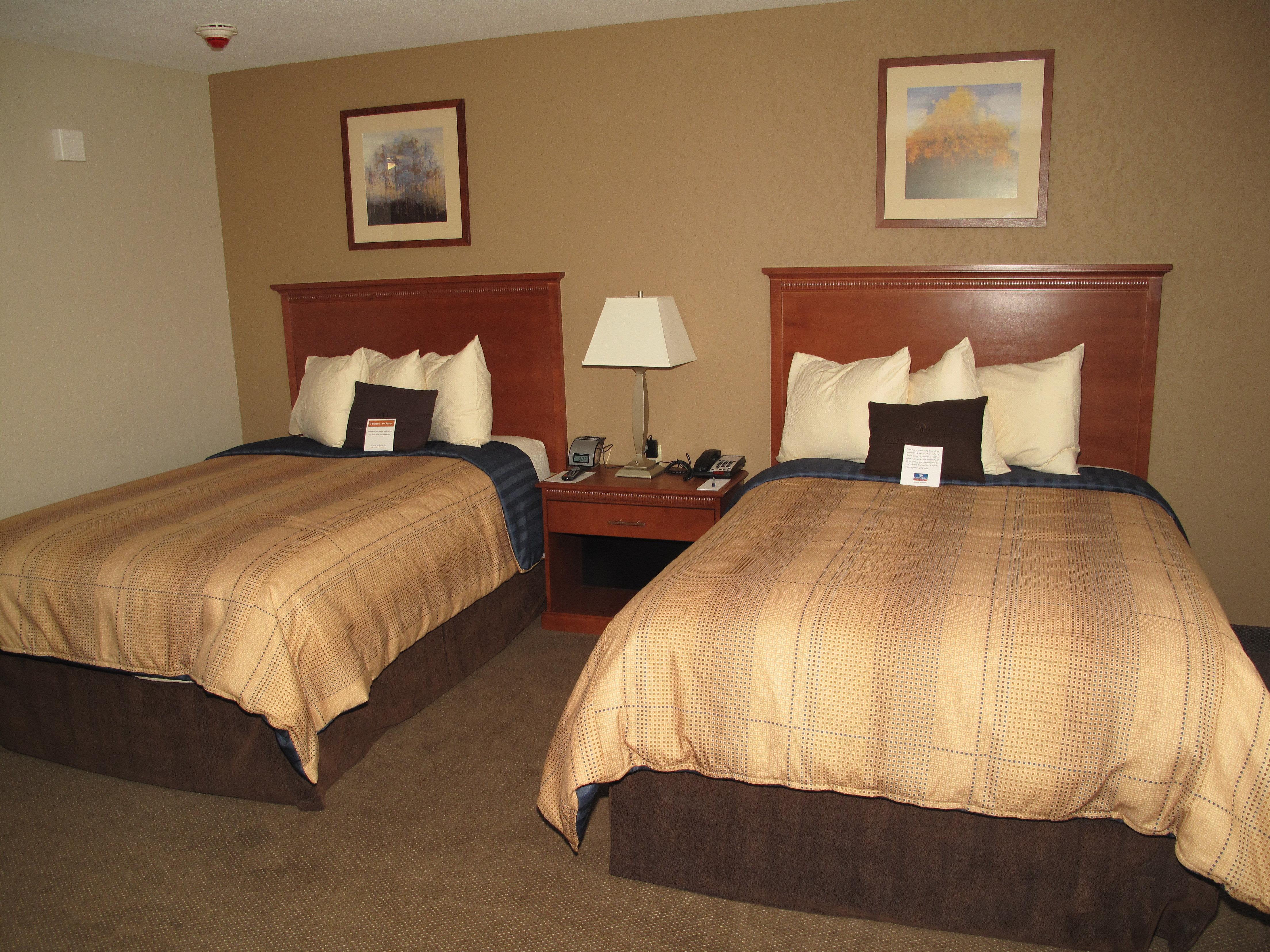 Candlewood Suites Elgin - Northwest Chicago By Ihg Chambre photo